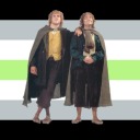 aro-ace-trashcan avatar