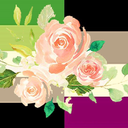 aro-acethetic avatar