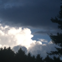 aroadfull-of-promise avatar