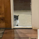 aromatichydrocarbon avatar