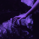 aroseforcaulfield avatar