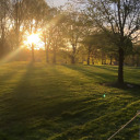 aroseisjustarose avatar