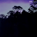 aroundmesitsthenight avatar