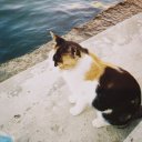 arpi951333333 avatar