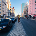 array-of-sunshine avatar