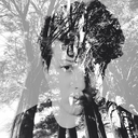 arrows-of-eros avatar