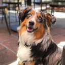 arrozcongandulez-blog avatar