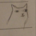 arson-and-foxes avatar