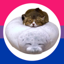 arsonist-chicken avatar