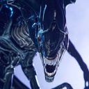 arsonistslullabies avatar