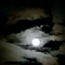 arsonsburning420 avatar