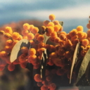 art-and-media avatar