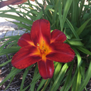 art-and-poems-now-i-guess avatar