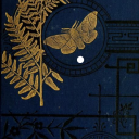 art-and-tea32 avatar