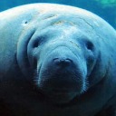 art-is-the-bae avatar