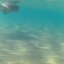 art-music-love avatar