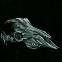 art-of-agrape avatar