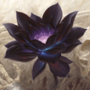 art-of-mtg avatar