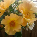 art-reblogs-and-misc avatar