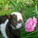 art-references-ii avatar