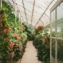 artaestheticasfuck avatar