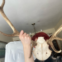 artbecausewhynot avatar