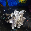 artbyashley101 avatar