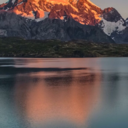 artceyfartsey avatar