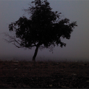 artematemadema-blog avatar