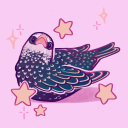 artemis-the-starling avatar