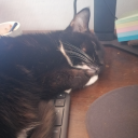 artemismoonwitch avatar