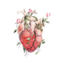 arteriosus avatar
