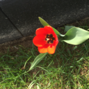 arterlikesthethings avatar