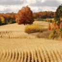 artesresearch avatar