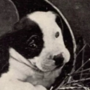 arthur-dearest avatar