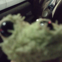 arthur-lesters-childbearing-hips avatar