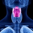 arthur-lesters-larynx avatar