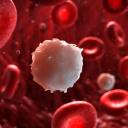 arthur-lesters-white-blood-cells avatar