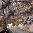 arthurlumierecc-reblogs avatar