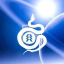 arthurreismachado avatar