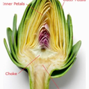 artichoke-article-sorter avatar