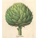 artichokehead-blog avatar