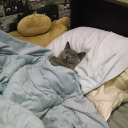 artichokemonkeys avatar