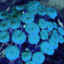 article-reblogs avatar