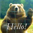 artifactcreature avatar