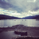 artificial-elegance avatar