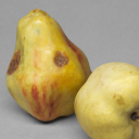 artificial-wonders avatar