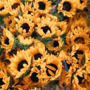 artificialajin avatar