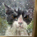 artificialgods avatar