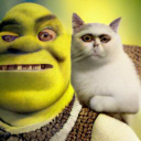 artificialshrek avatar